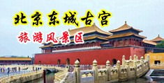 啪啪啪做爱污av中国北京-东城古宫旅游风景区
